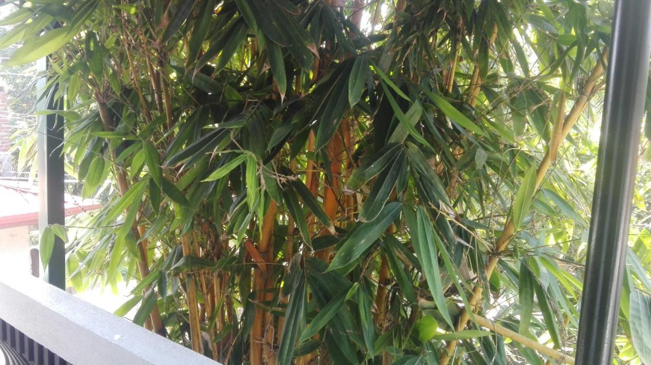 Mango Roots Lejlighed Gampaha Eksteriør billede